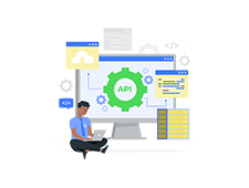 API Access